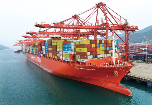 连云港与徐州共创一带一路标杆通道模式 双城记赋能江苏货运金三角