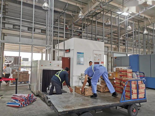 日照机场货运站与顺丰速运携手，护航樱桃季高效运输