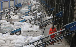 发展集团内部运输市场 价值、机遇与策略